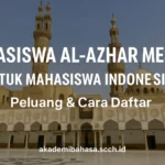beasiswa kuliah di al azhar mesir peluang dan cara mendapatkannya – Akademi Bahasa Asing Beasiswa Kuliah Di Al Azhar Mesir Peluang Dan Cara Mendapatkannya
